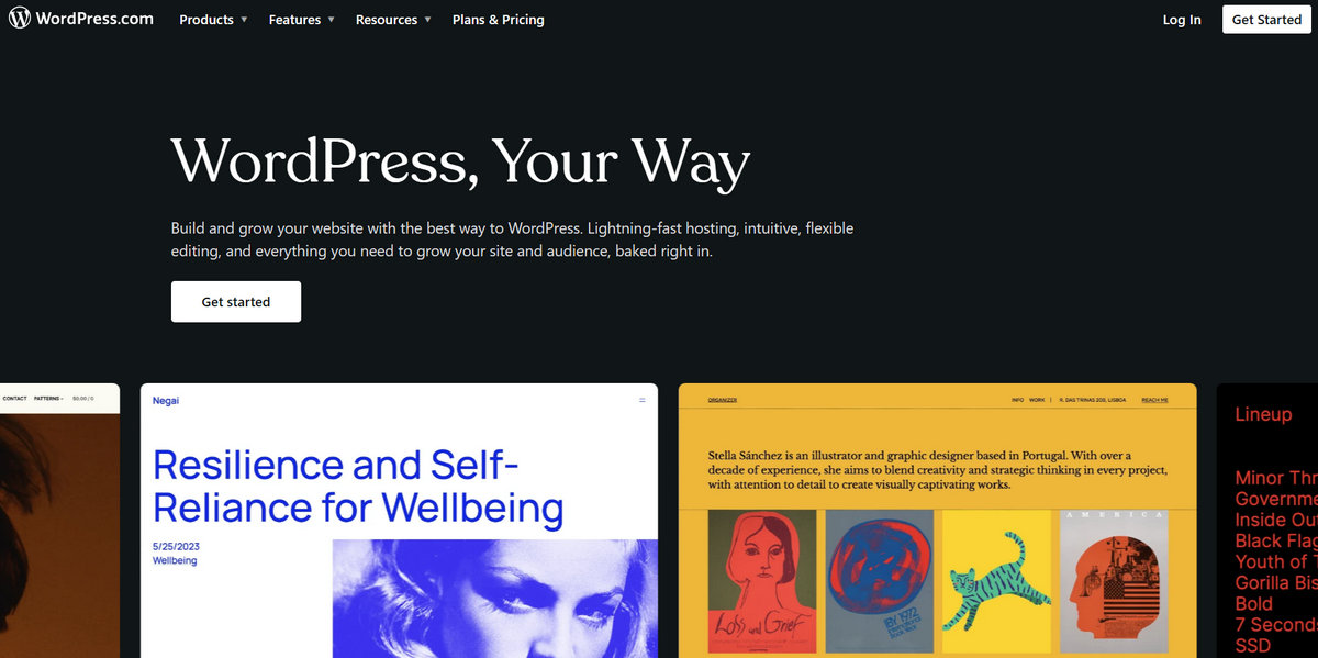 Wordpress website homepage